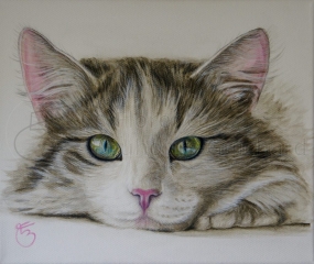 « Petite douceur » Acrylique sur toile – 25X30 cm